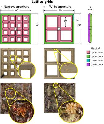 Enhancing Coral Survival on Deployment Devices With Microrefugia